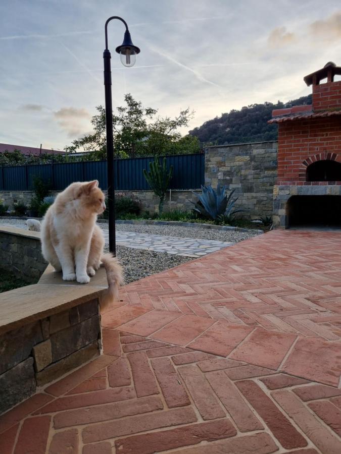 Ferienwohnung Dimora Pepatio Camporosso  Exterior foto